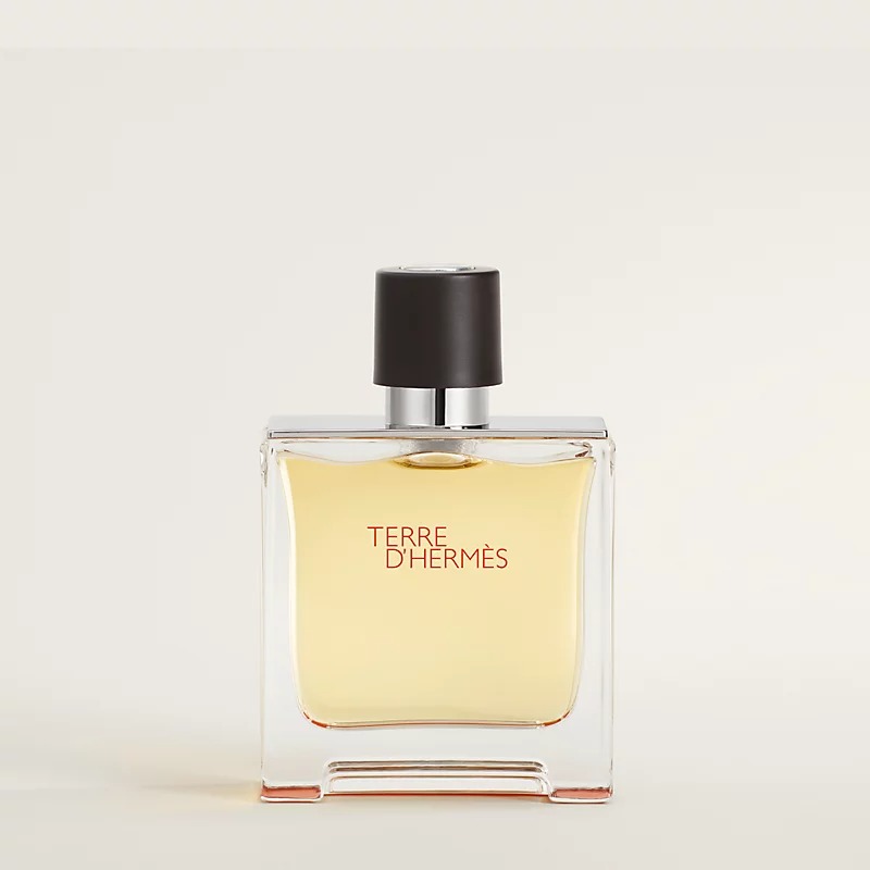 Terre d'Hermès Parfum - Hermes