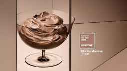 El color del año 2025 de Pantone es Mocha Mousse