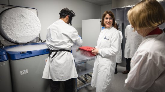 La Ministra de Hacienda del Reino Unido, Rachel Reeves (adelante, izq.) observa el almacenamiento de un producto de terapia celular en un laboratorio de nitrógeno líquido durante una visita a las nuevas oficinas de la empresa de biotecnología Quell Therapeutics, el 13 de noviembre de 2024 en Londres, Inglaterra - Adrian Dennis - WPA Pool/Getty Images