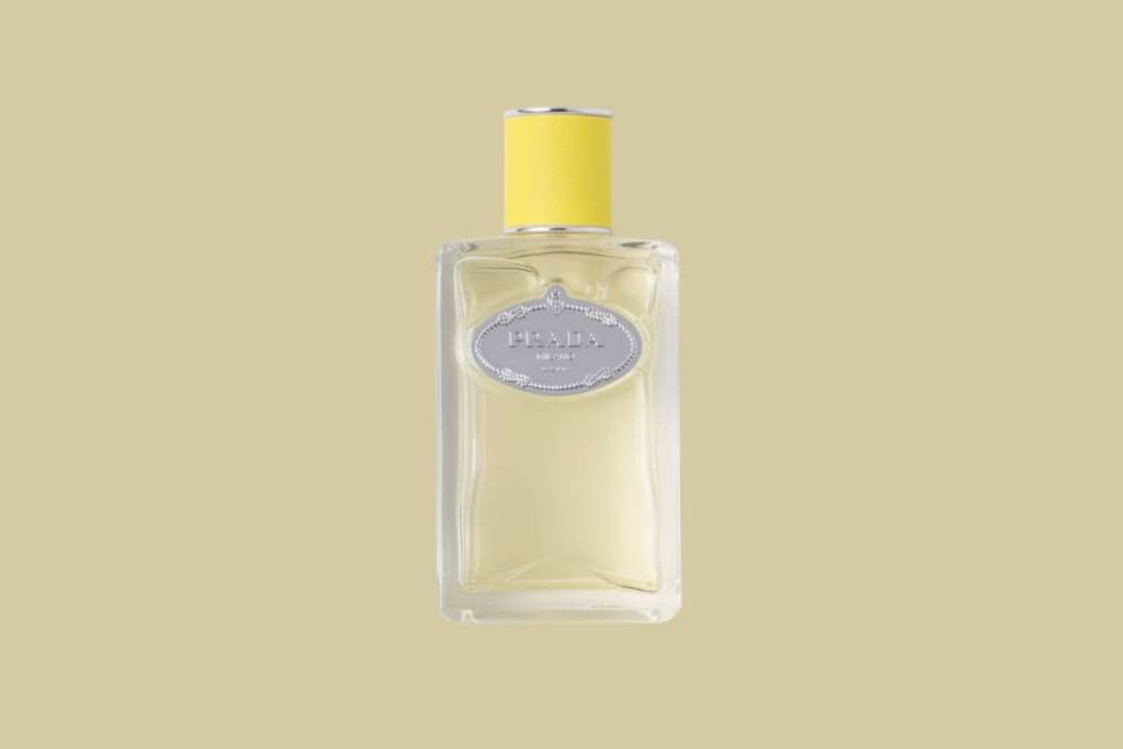 perfumes-espana-2025