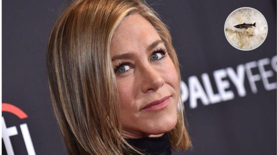 esperma-animal-cuidado-de-la-piel-segun-un-experto-jennifer-aniston-kim-kardashian