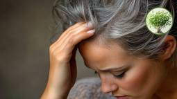 planta-medicinal-tratamiento-alopecia-caida-pelo
