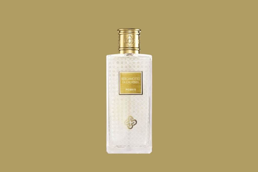mejor-perfume-historia-regresa-actualizado