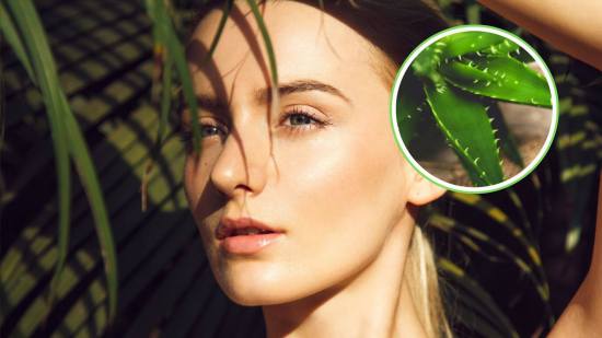 Aloe vera bebida