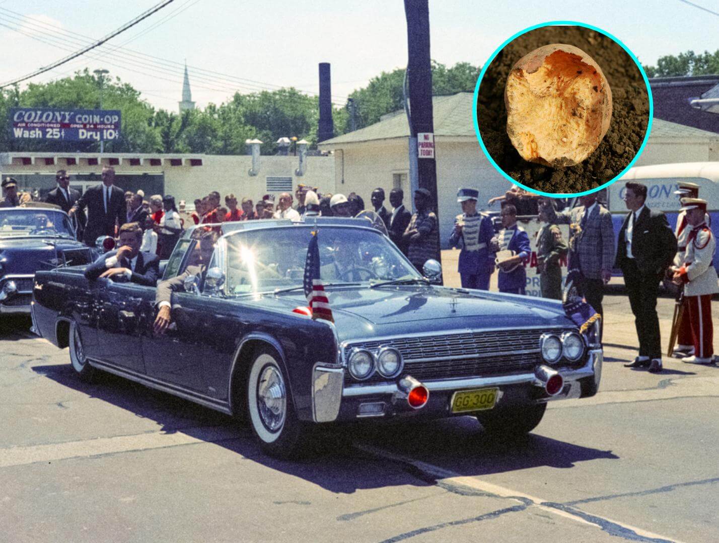 Descubre la impactante historia de cómo un hongo llevó a los Kennedy a la Casa Blanca