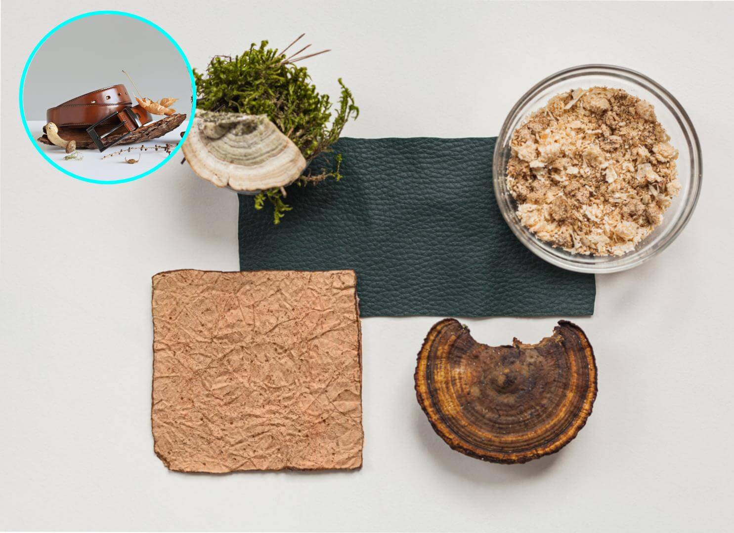 Cuero vegano hecho de hongos, la revolución sostenible que puede revolucionar el mundo de la moda