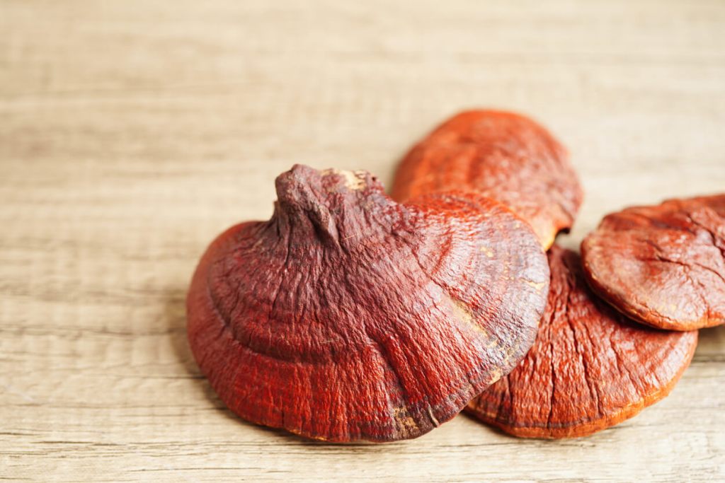 Te sorprenderá cómo los hongos pueden mejorar tu bienestar, desvelamos los secretos de la micoterapia - Fuente: iStock