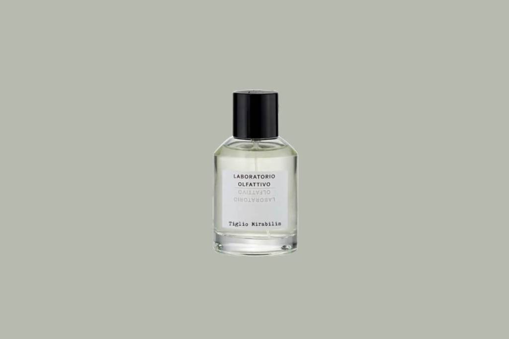 nuevo-perfume-perfumista-espanol