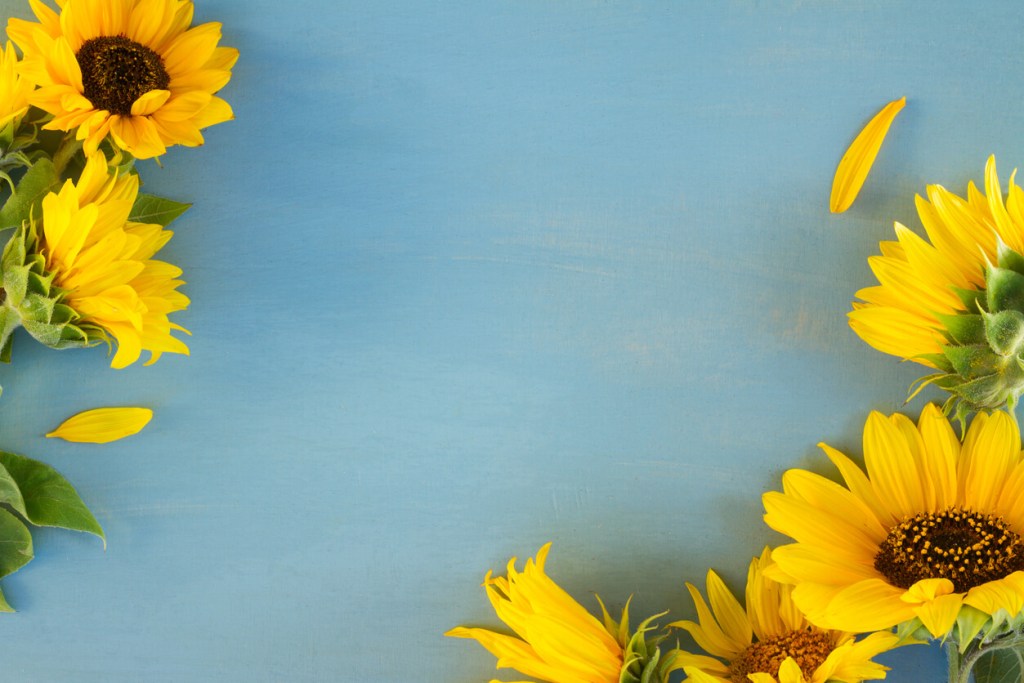 Aprende a hacer estos 5 rituales con flores que te ayudarán a reconectar con tu intuición, creatividad y paz interior - Fuente: iStock