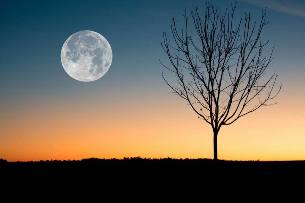 luna llena ritual signo zodiaco