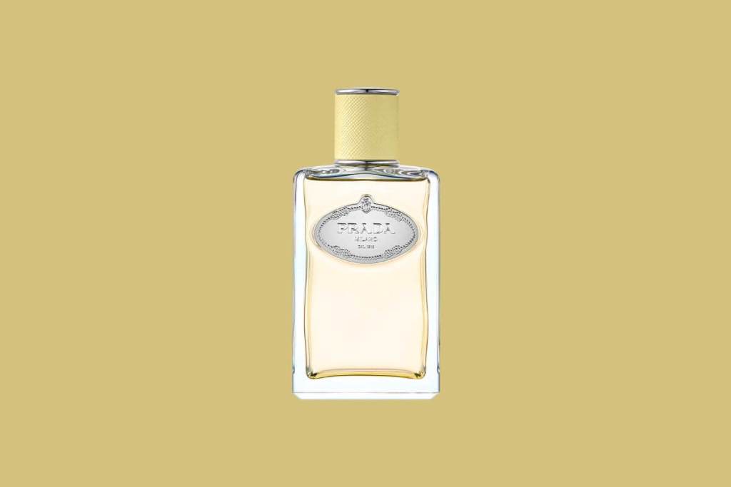 perfume-noche-verano