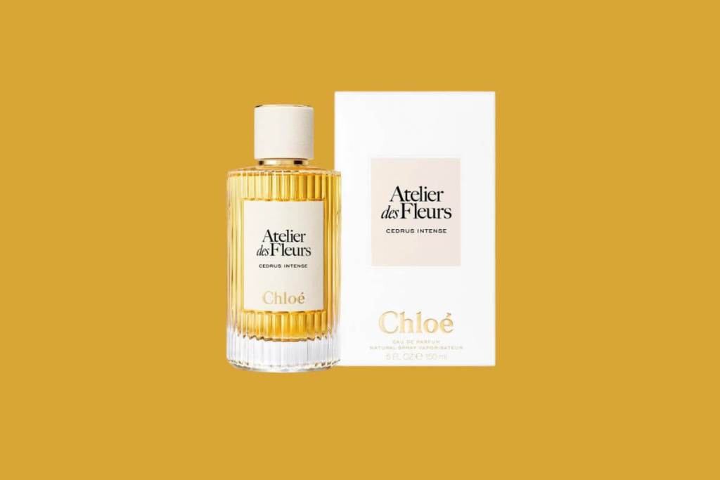 perfume-noche-verano