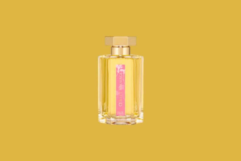 perfume-clavel