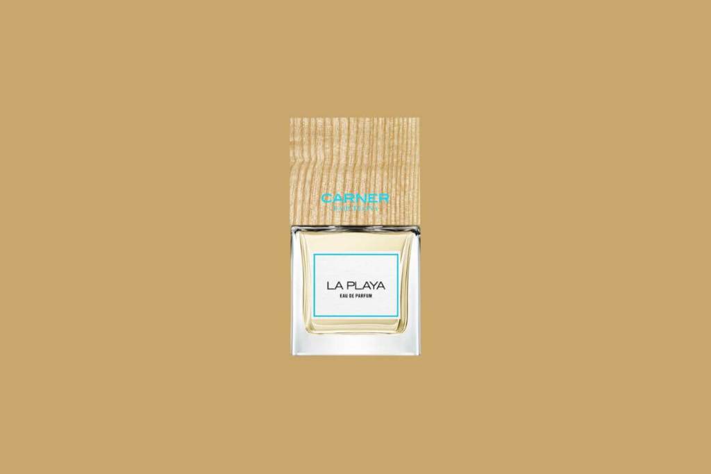 perfumes-favoritos