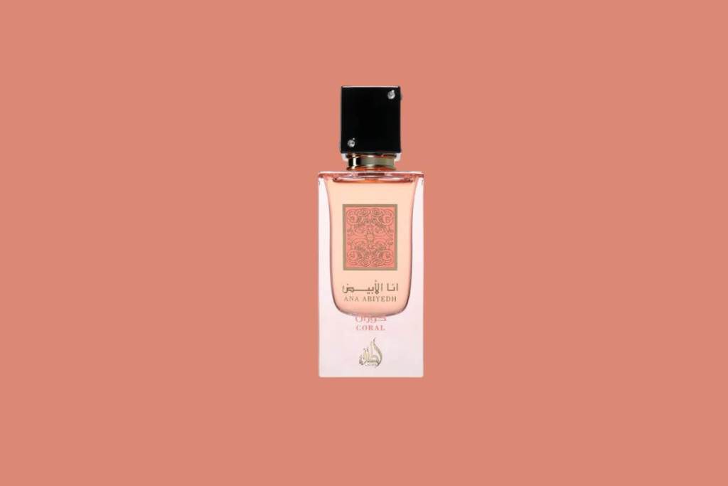 perfume-arabe-busquedas