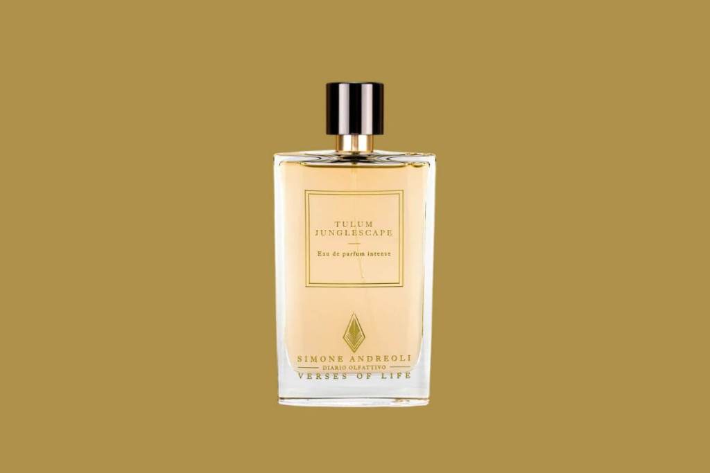 perfume-noche-verano