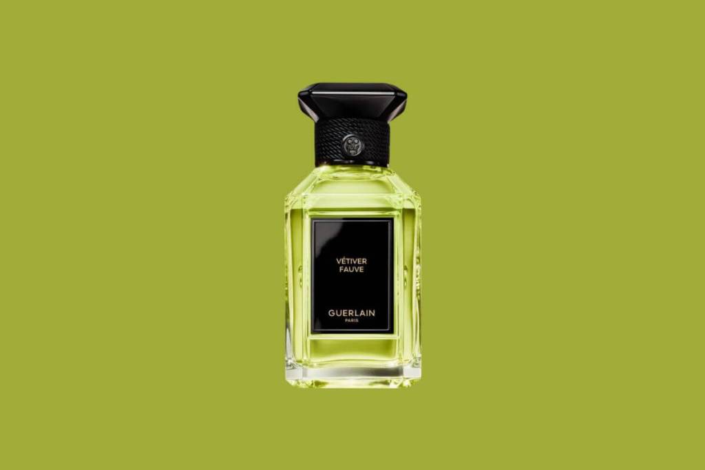 perfume-noche-verano
