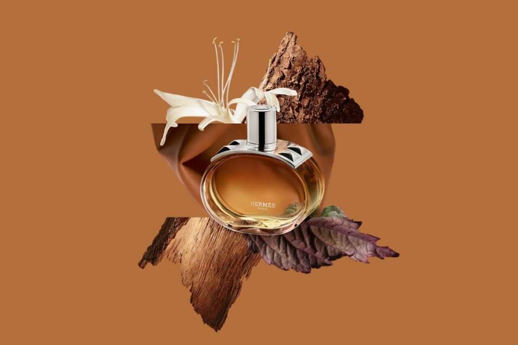 nuevo-perfume-elegante