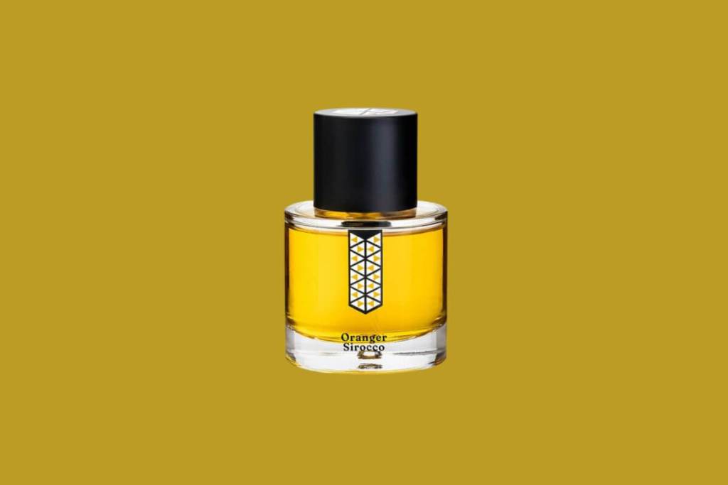 perfume-noche-verano