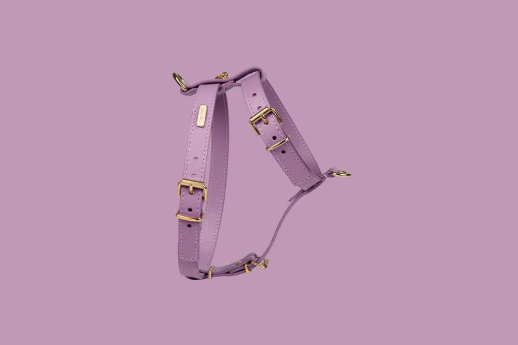 perfume-limpio-black-friday