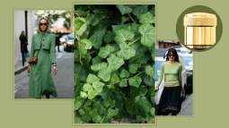 perfume-fresco-agua-colonia